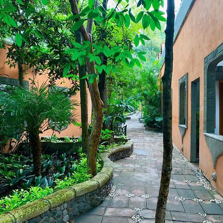 Hotel La Casa De Los Arboles Immersive Experience Zacualpan de Amilpas Exterior foto