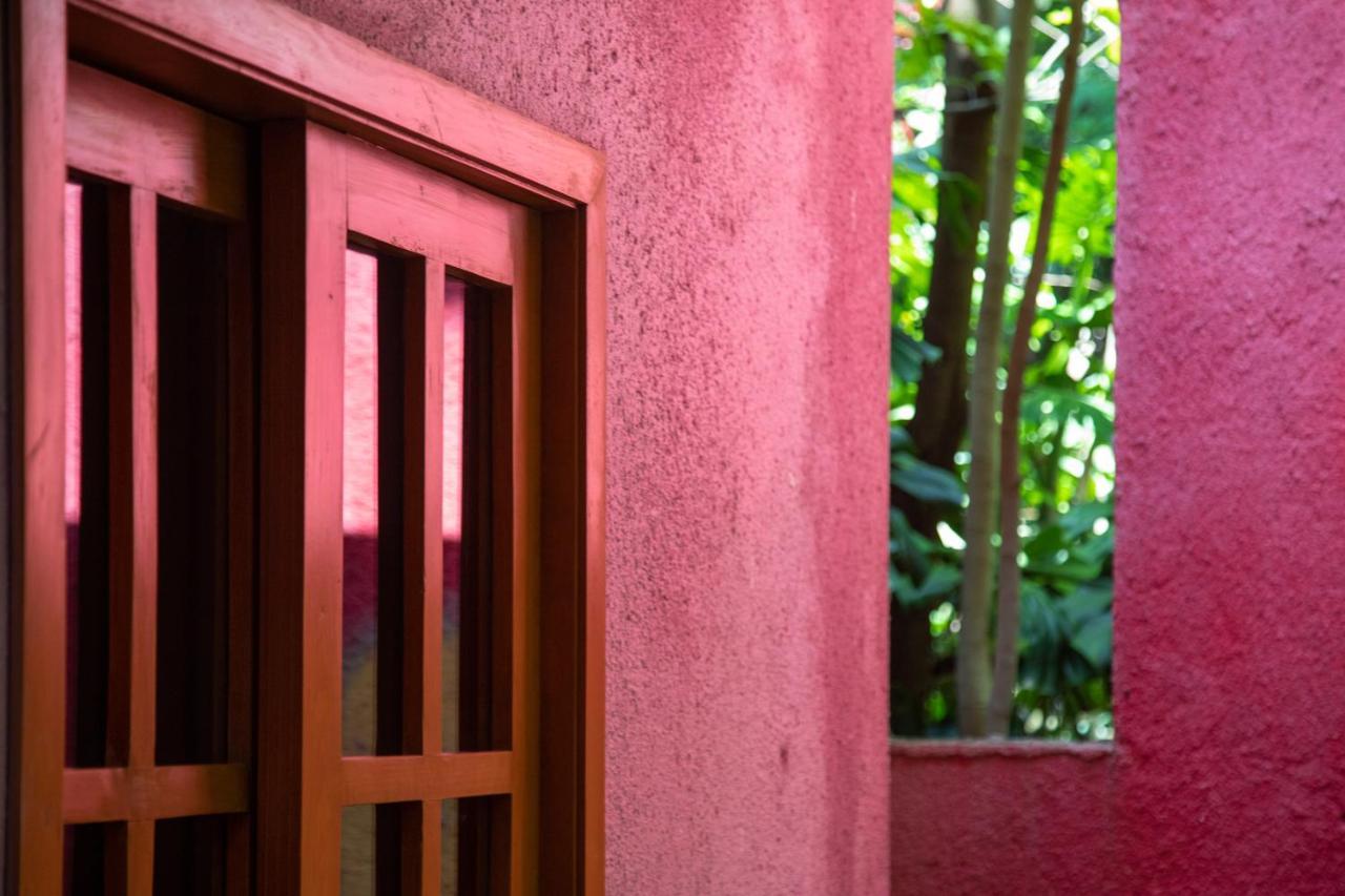 Hotel La Casa De Los Arboles Immersive Experience Zacualpan de Amilpas Exterior foto